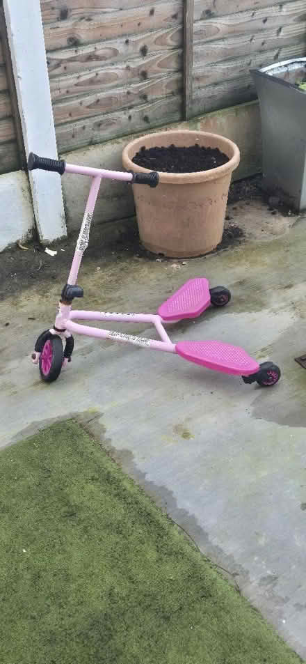 Photo of free Flicker (Lucan Co Dublin) #1