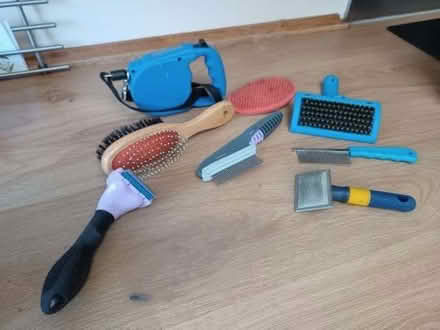 Photo of free Pet grooming tools and dog lead (Hangleton BN3) #1