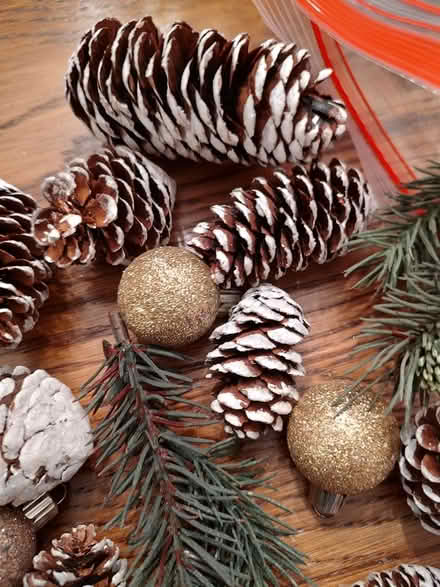 Photo of free Vase filler (Odenton) #2