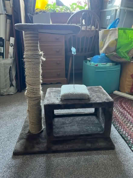 Photo of free Cat Tree&Tall Scratcher (Saltaire BD18) #1