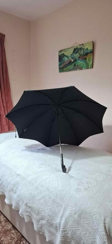 Photo of free Umbrella (Harrogate HG1) #2