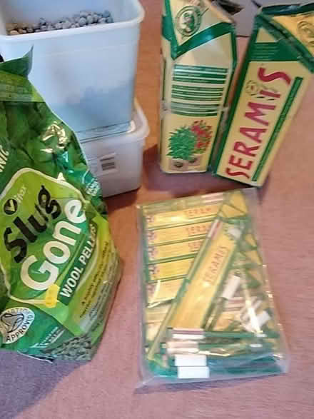 Photo of free Serafin plant medium etc (Wrington BS40) #1