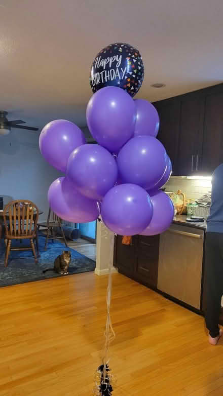Photo of free Balloons (Stratton school) #1