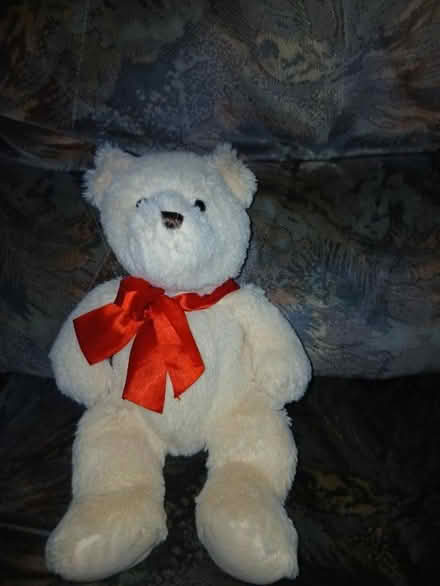 Photo of free Teddy (Chattenden) #1