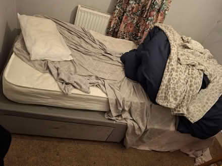 Photo of free Single bed (Aspley NG8) #3