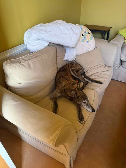 Photo of free 3 seater and 2 seater sofa p (Huddersfield HD3) #1