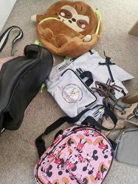 Photo of free Bag bundle (Hanworth RG12) #2