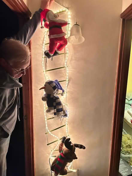 Photo of free Outside Xmas dec (Bracknell RG12) #1