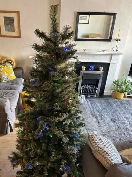 Photo of free Pre lit Christmas Tree (WN4 9PR) #1