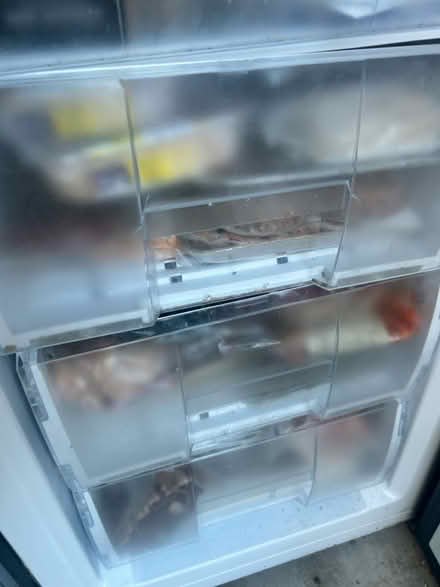 Photo of free Beko A+ fridge freezer (Catford SE6) #2