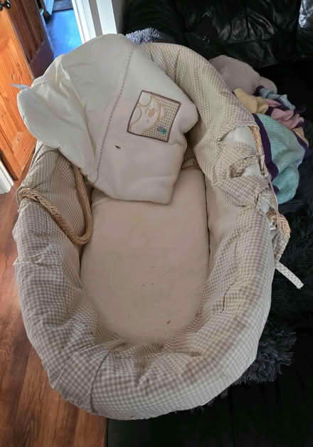 Photo of free Crib (Aldrington BN3) #1