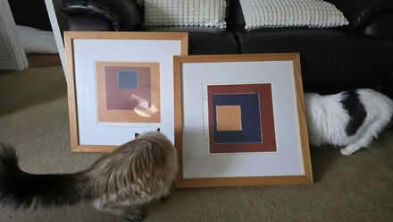 Photo of free Decorative prints (Morley DE21) #1