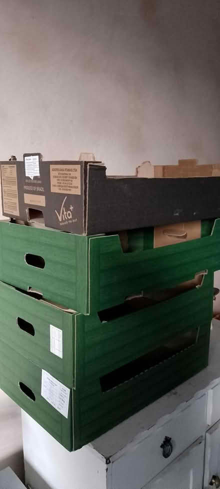 Photo of free Cardboard Storage Trays (St George Bristol BS5) #1