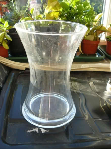 Photo of free Glass vase approx 8" tall (Kempsey WR5) #1