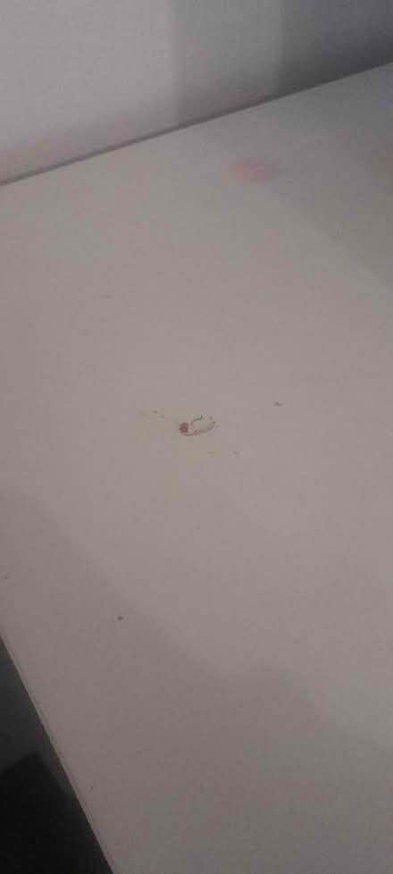 Photo of free White Cabinet (Trentvale ST4) #4