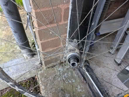 Photo of free Shimano XT 29" wheel, muddy but otherwise VGC (Malvern Wells WR14) #1