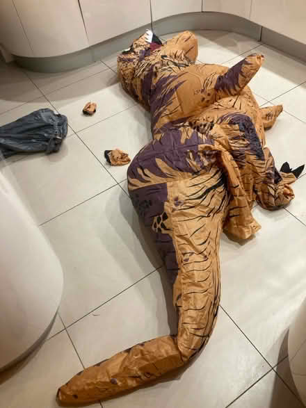 Photo of free Inflatable dinosaur costume (Chelmsford. CM2) #1