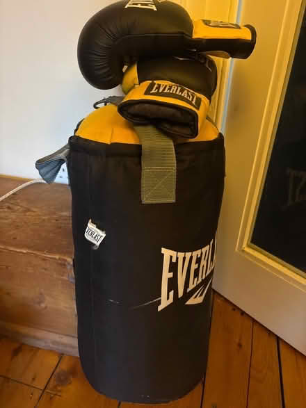 Photo of free Boxing bag and gloves (Greaves LA1) #1