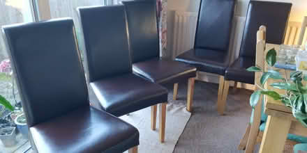 Photo of free Dining chairs (Lytchett Matravers) #2