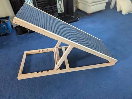 Photo of free Dog Ramp for car (Orpington BR5) #1