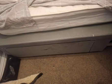 Photo of free Single bed (Aspley NG8) #2