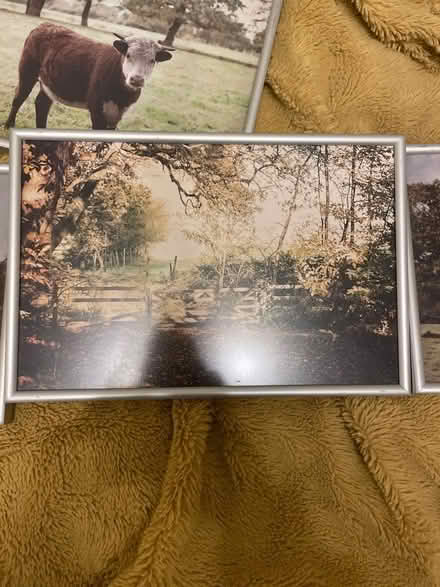 Photo of free metal frames for pictures (Finchampstead RG40) #2