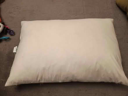 Photo of free Dunelm Feather Pillow (Bruntsfield EH10) #3