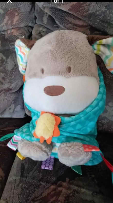 Photo of free Taggy dog with blanket (Chattenden) #1