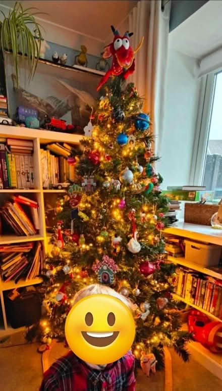 Photo of free Christmas tree (SY3) #1