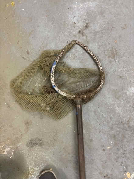 Photo of free Old wood net (Sevenoaks TN13) #2