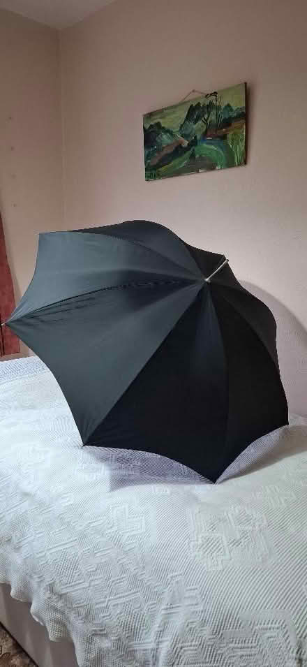 Photo of free Umbrella (Harrogate HG1) #1