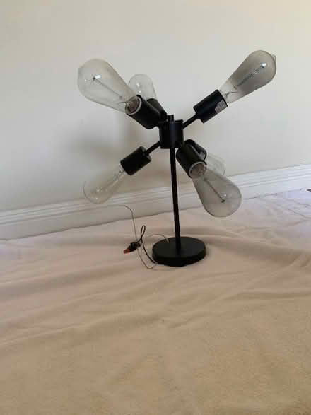 Photo of free Modern Black ceiling light fixture (San Jose Cambrian) #2