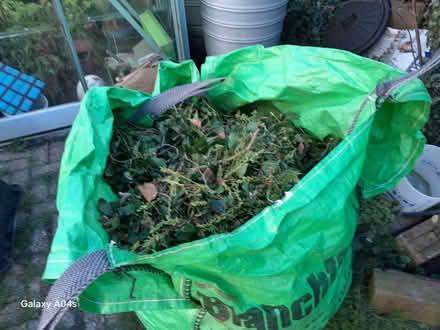 Photo of free Evergreens for wreaths etc (OX10 Cholsey) #1