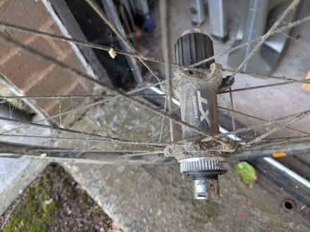 Photo of free Shimano XT 29" wheel, muddy but otherwise VGC (Malvern Wells WR14) #2