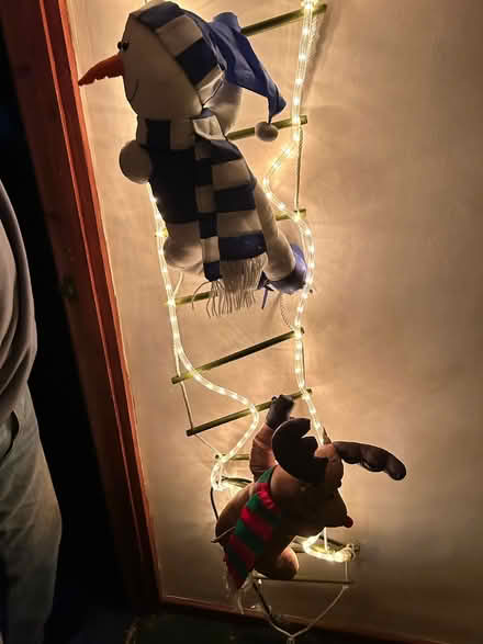 Photo of free Outside Xmas dec (Bracknell RG12) #2