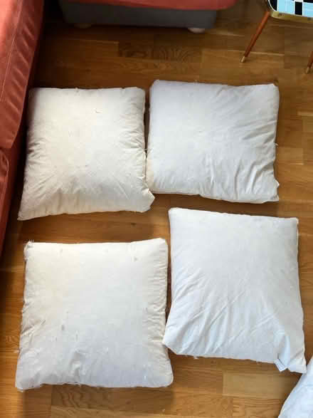 Photo of free Feather cushions (Bow, E3) #1