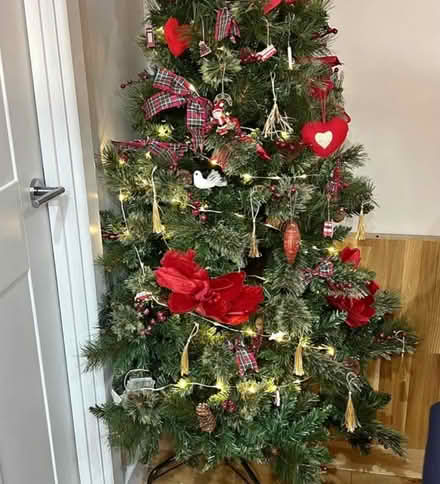 Photo of free Christmas Tree (Sheffield s) #1