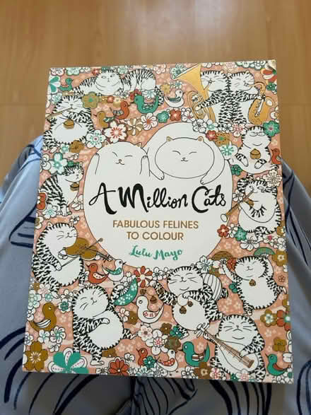 Photo of free Colouring book (Halewood L26) #1
