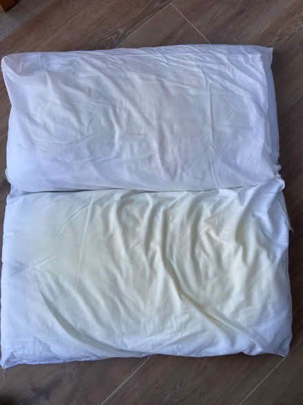 Photo of free Pillows for animals? (Weeke, Winchester SO22) #1