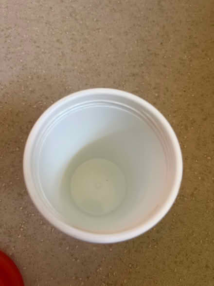 Photo of free Coffee Cup (Knowle, Bristol) #4