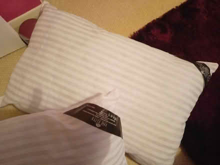 Photo of free Pillow's x 2 (Portslade) #1