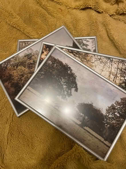 Photo of free metal frames for pictures (Finchampstead RG40) #1