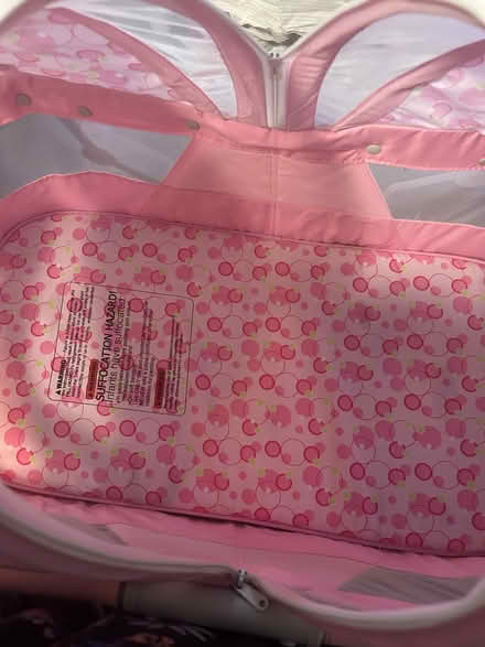 Photo of free Pink bassinet (Oxon hill) #2
