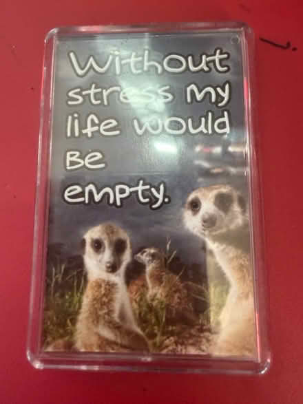 Photo of free Fridge magnet (Westbury Wilts BA13) #1