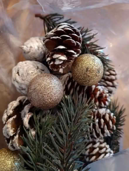 Photo of free Vase filler (Odenton) #1