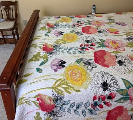 Photo of free Warm Quilt and Shams (Alta Vista area) #1