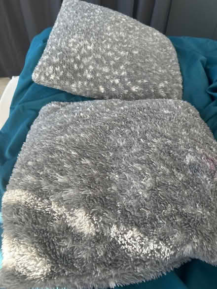 Photo of free 2 cushions (Catford SE6) #1
