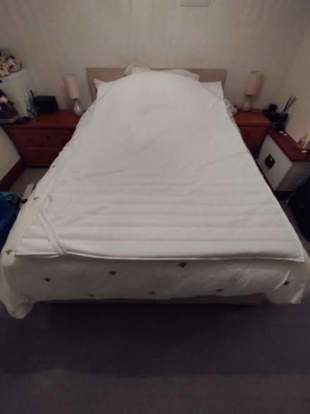 Photo of free Double size mattress topper (Beenham RG7) #3