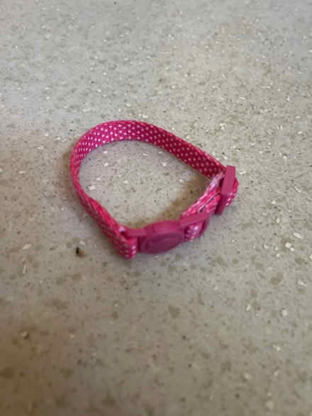 Photo of free Collar (Knowle, Bristol) #1