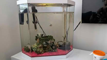 Photo of free Fish Tank 30l with accessories (Ha4) #1